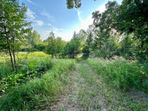 41331 W Elysian Lake Road, Janesville, MN 56048