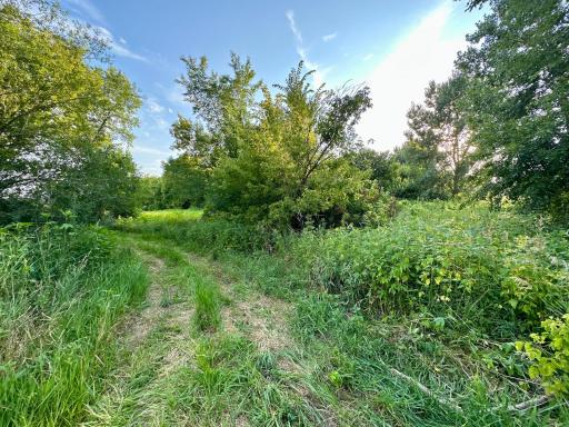 41331 W Elysian Lake Road, Janesville, MN 56048