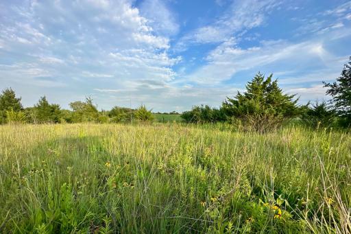 41331 W Elysian Lake Road, Janesville, MN 56048