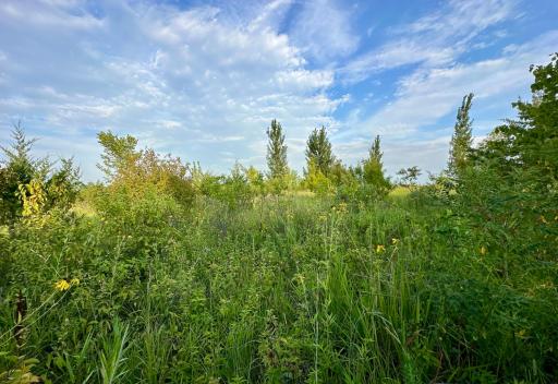 41331 W Elysian Lake Road, Janesville, MN 56048