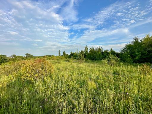 41331 W Elysian Lake Road, Janesville, MN 56048