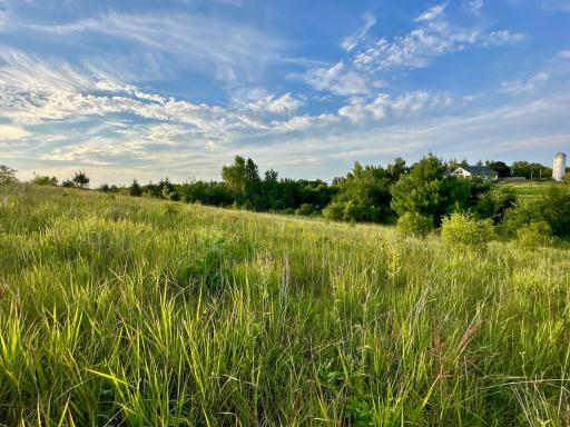 41331 W Elysian Lake Road, Janesville, MN 56048