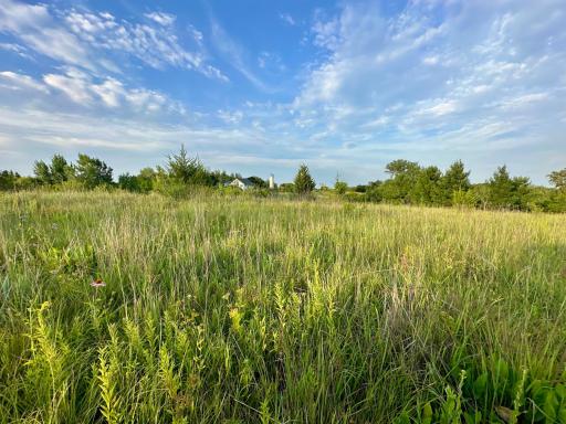 41331 W Elysian Lake Road, Janesville, MN 56048