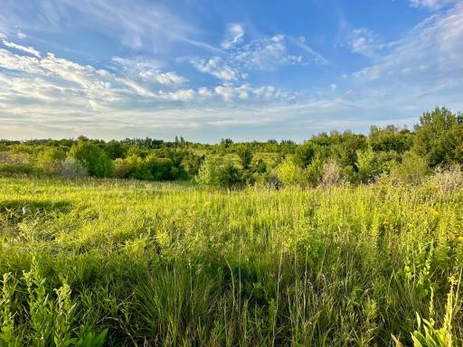 41331 W Elysian Lake Road, Janesville, MN 56048
