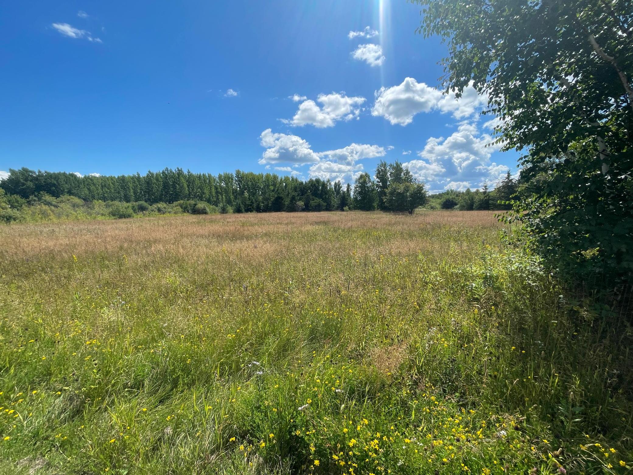 North Edge of Property