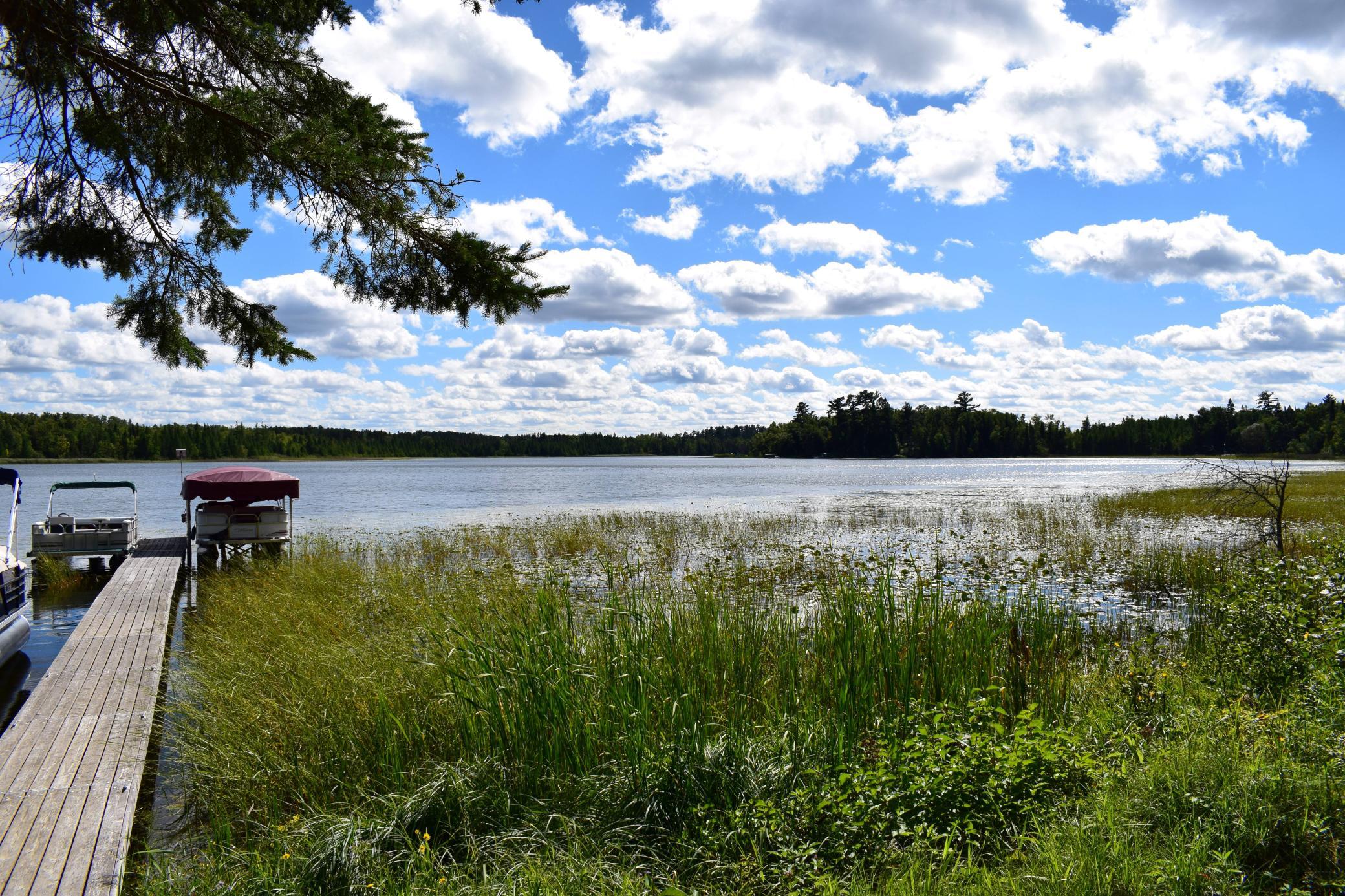 Share Lakeshore Lot Frontage.JPG