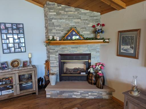 2258 Town Road 342, International Falls, MN 56649