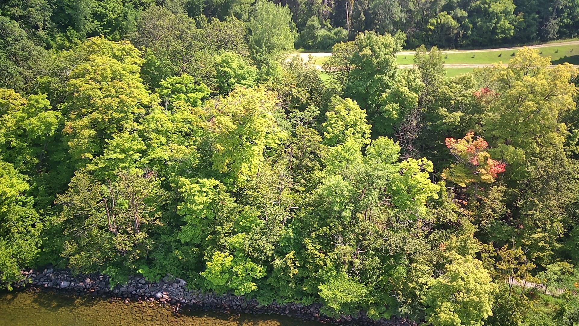 Additional Lake Frontage Available