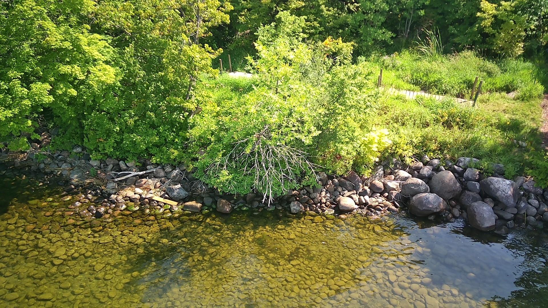 100+ Feet of Level Shoreline