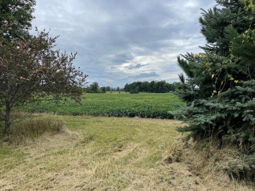 4920 560th Street, Pine City, MN 55063