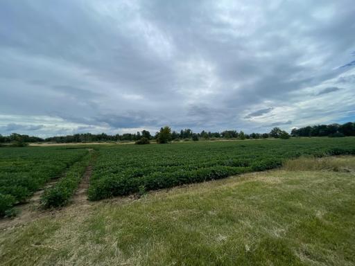 4920 560th Street, Pine City, MN 55063