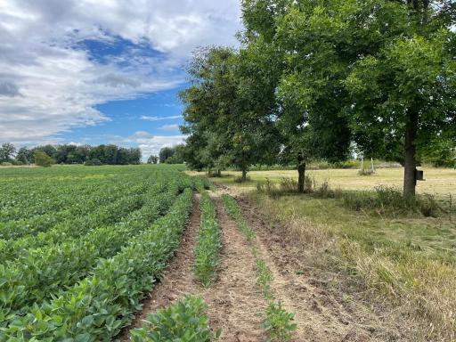 4920 560th Street, Pine City, MN 55063