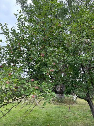 4920 560th Street, Pine City, MN 55063