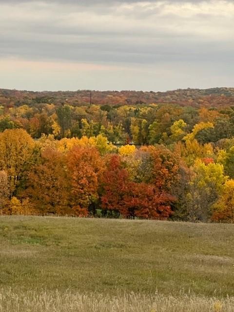 Fall looking East