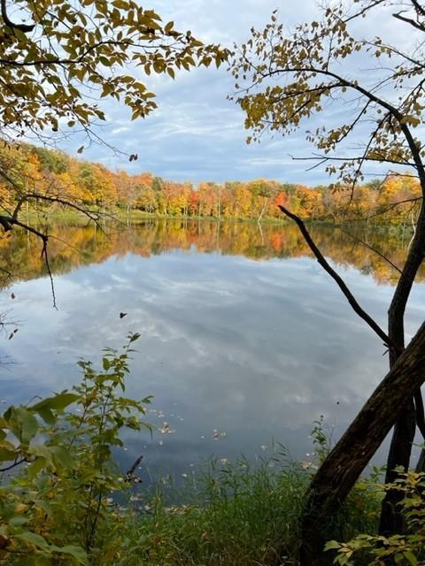 Lake Shery(unnamed pond)