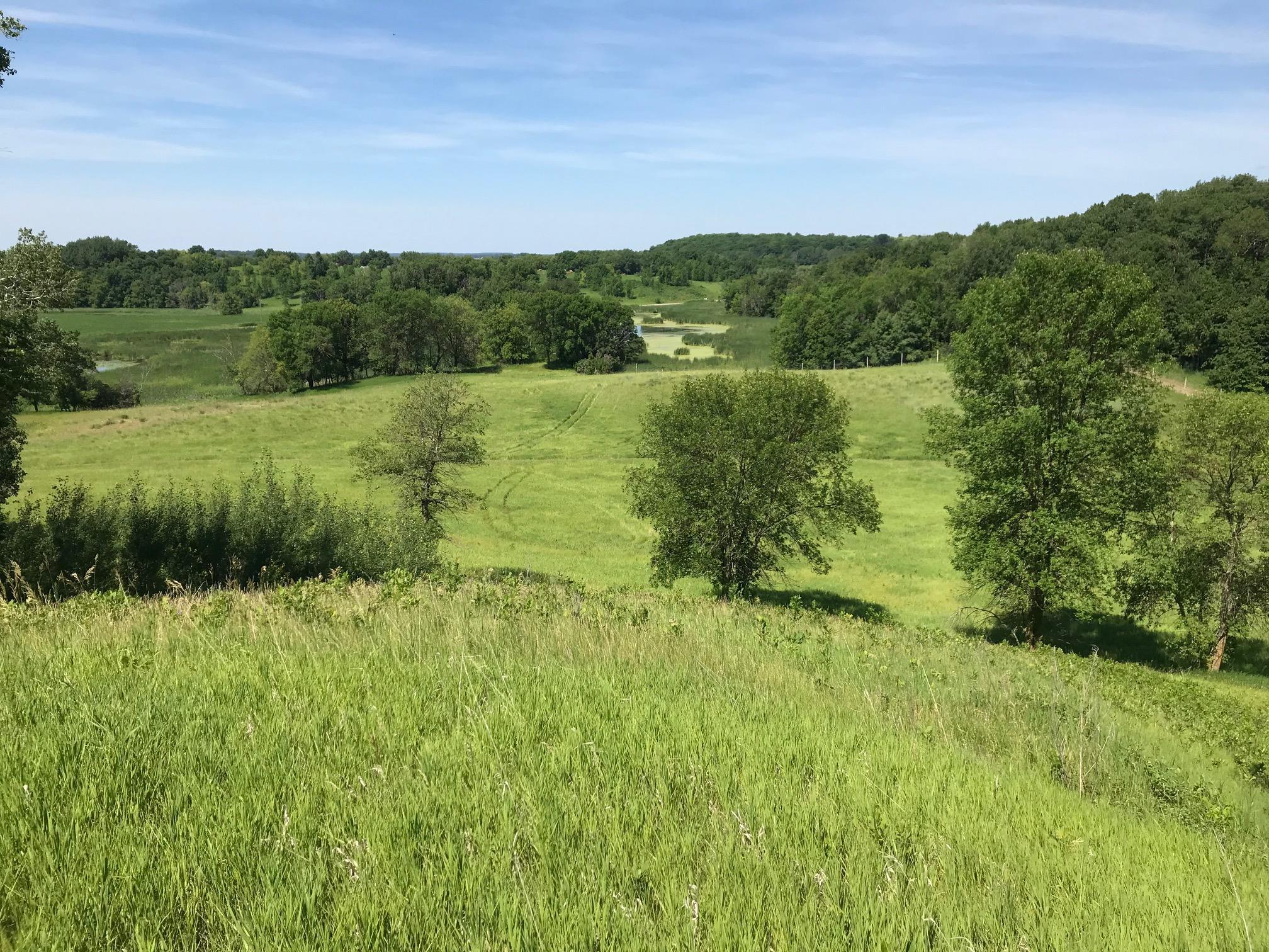 Top the Hill looking West