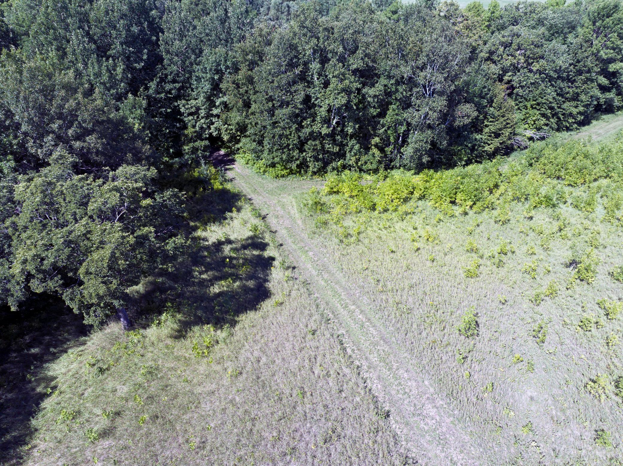 trails established