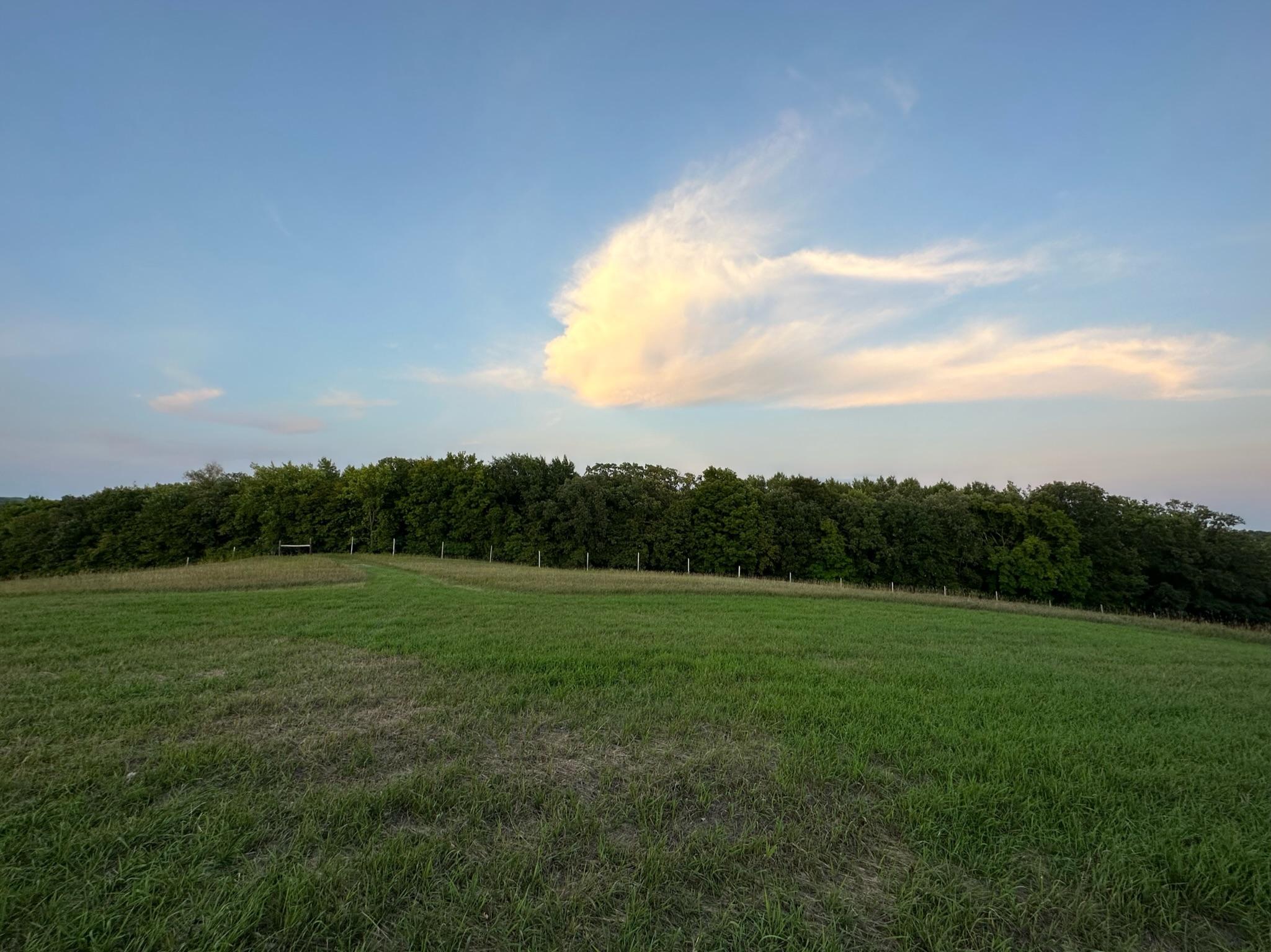 29+ acres of pasture