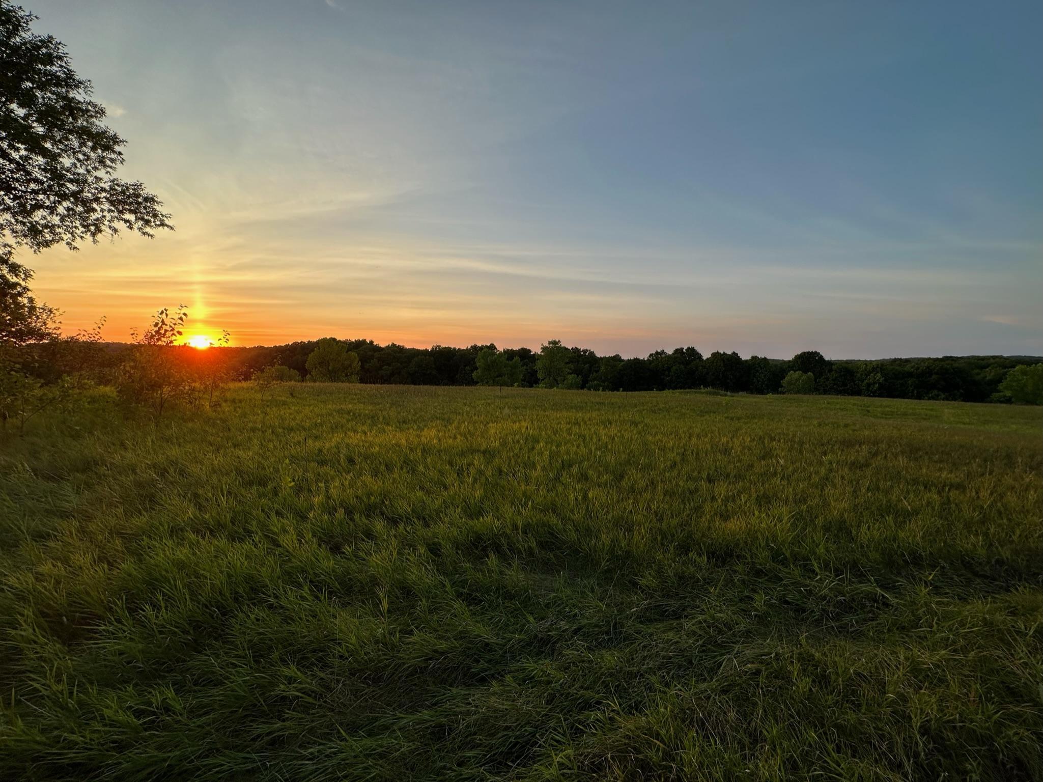 pasture looking NW