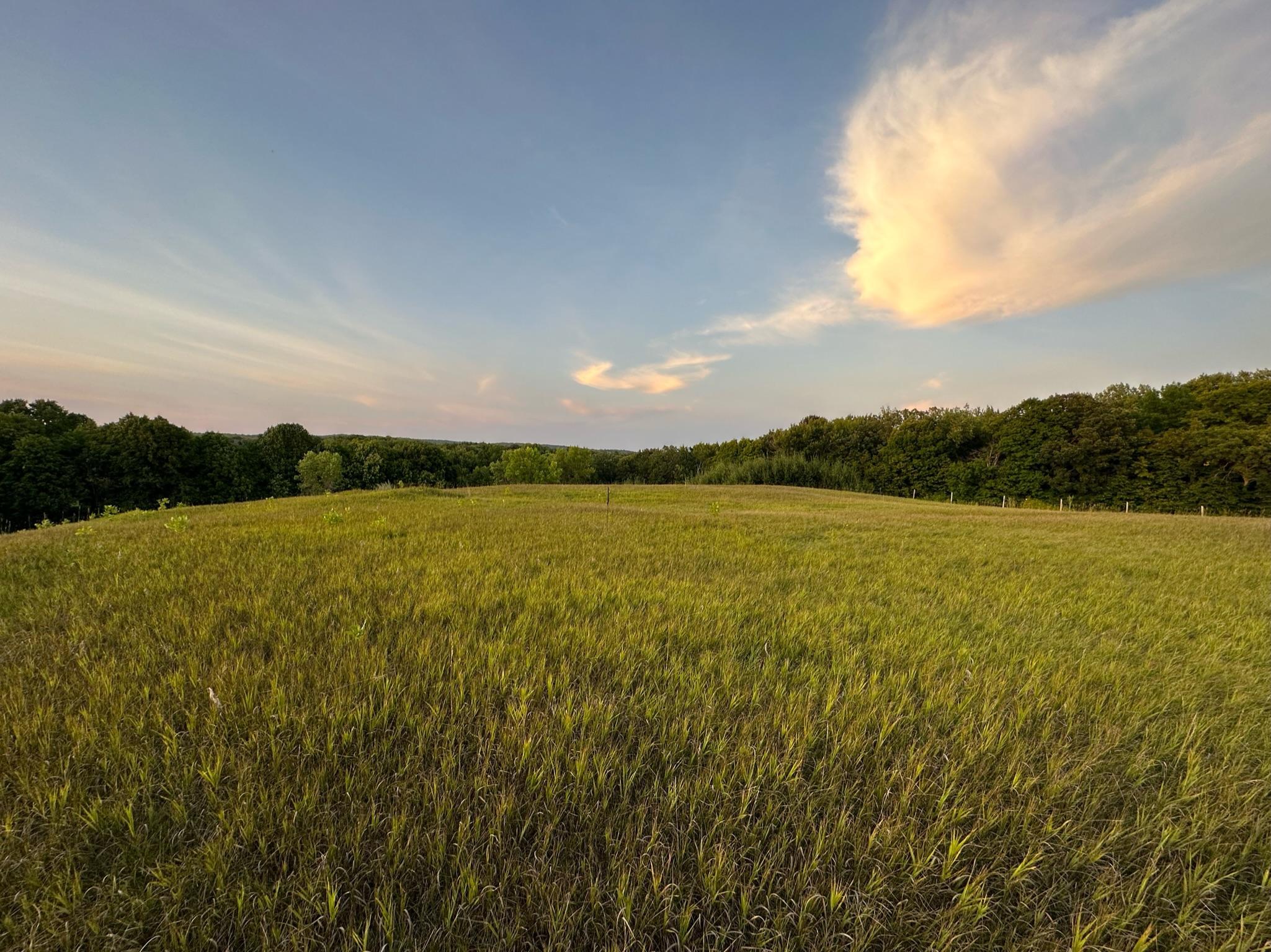 pasture looking NE
