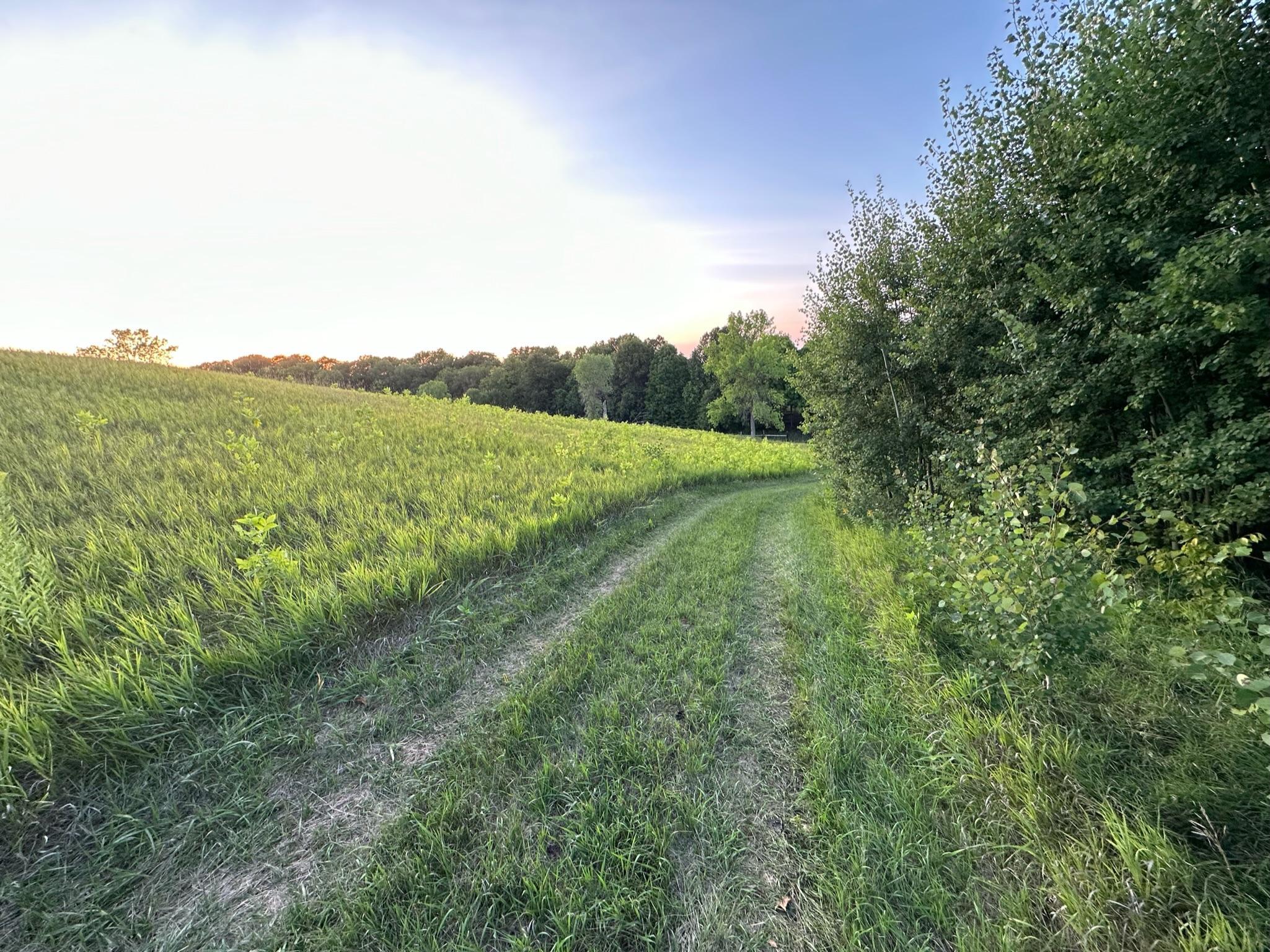 East trail on high pasture