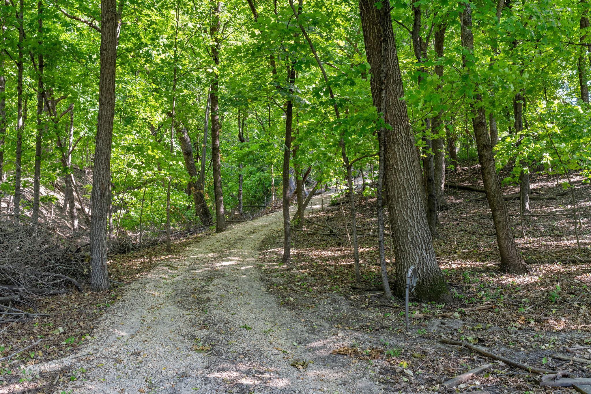 Cart path to the lake