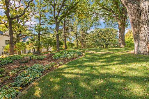 Large lot with mature landscaping and beautiful tree coverage