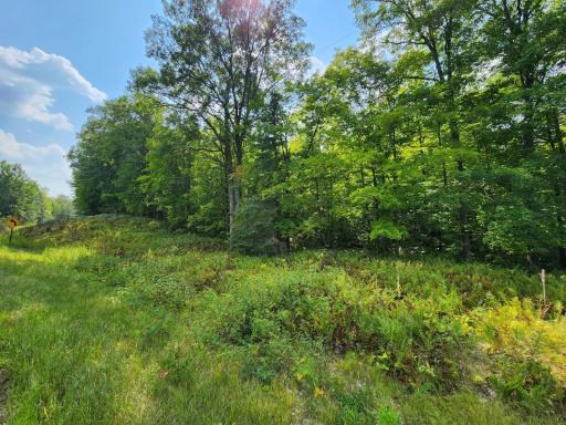 Road and Power Lines