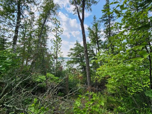 What could be quite a view!