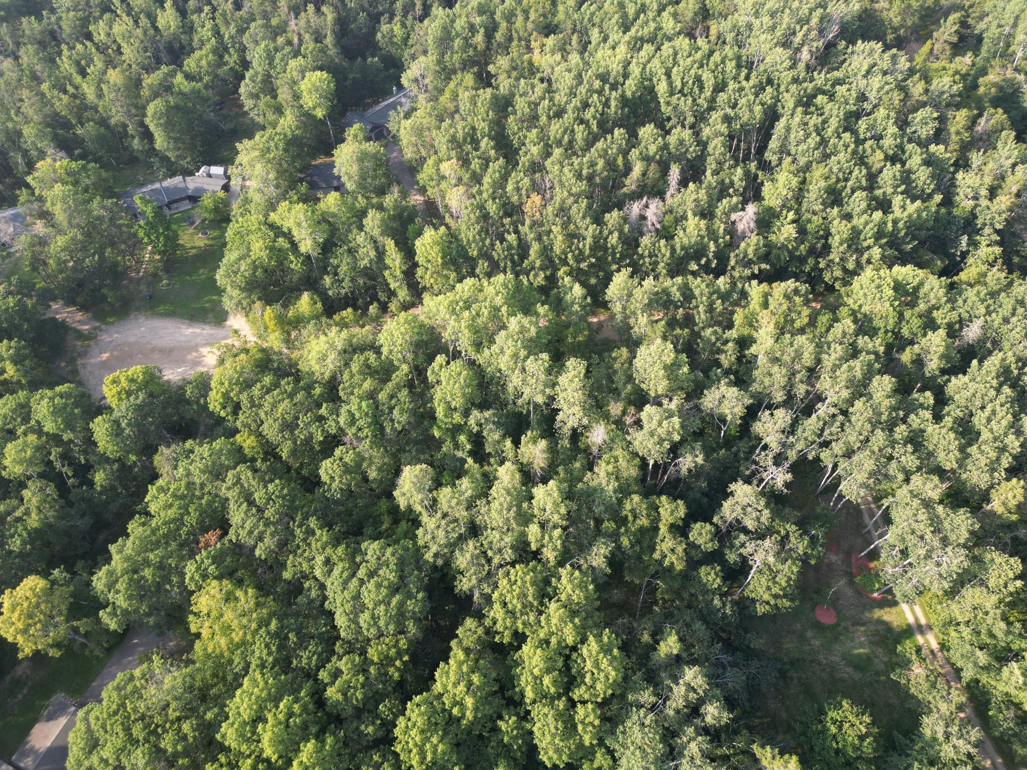 xxx Maya Circle, Breezy Point, MN 56472