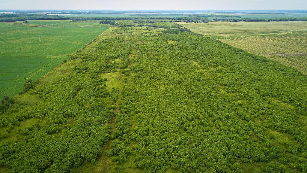 Tract 1: Property Aerial