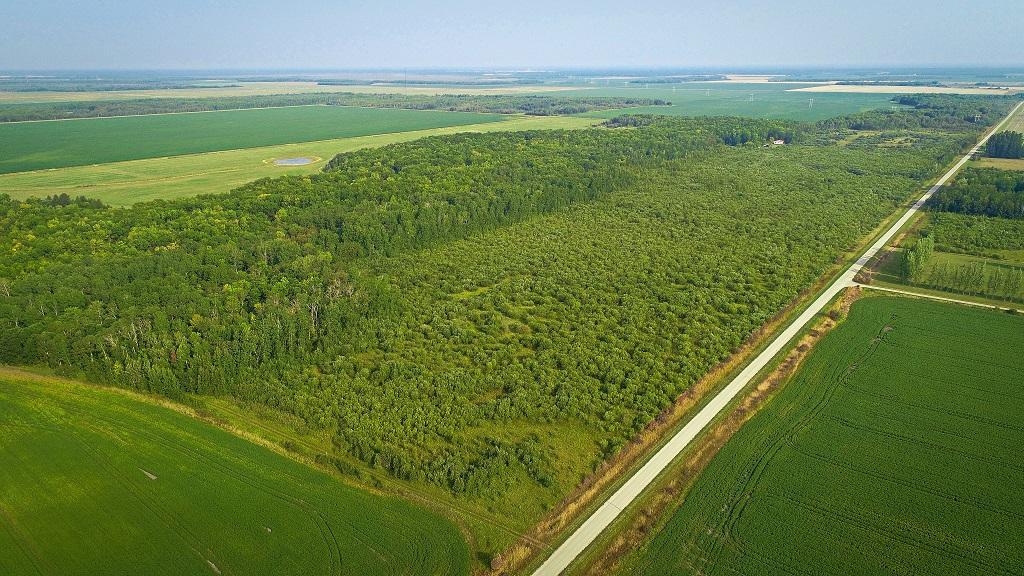 Tract 3: Property Aerial