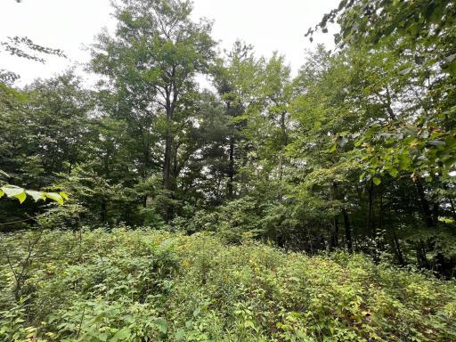 N369 297th Street, Eau Galle, WI 54737