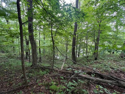 N369 297th Street, Eau Galle, WI 54737