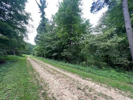 N369 297th Street, Eau Galle, WI 54737