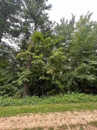 N369 297th Street, Eau Galle, WI 54737