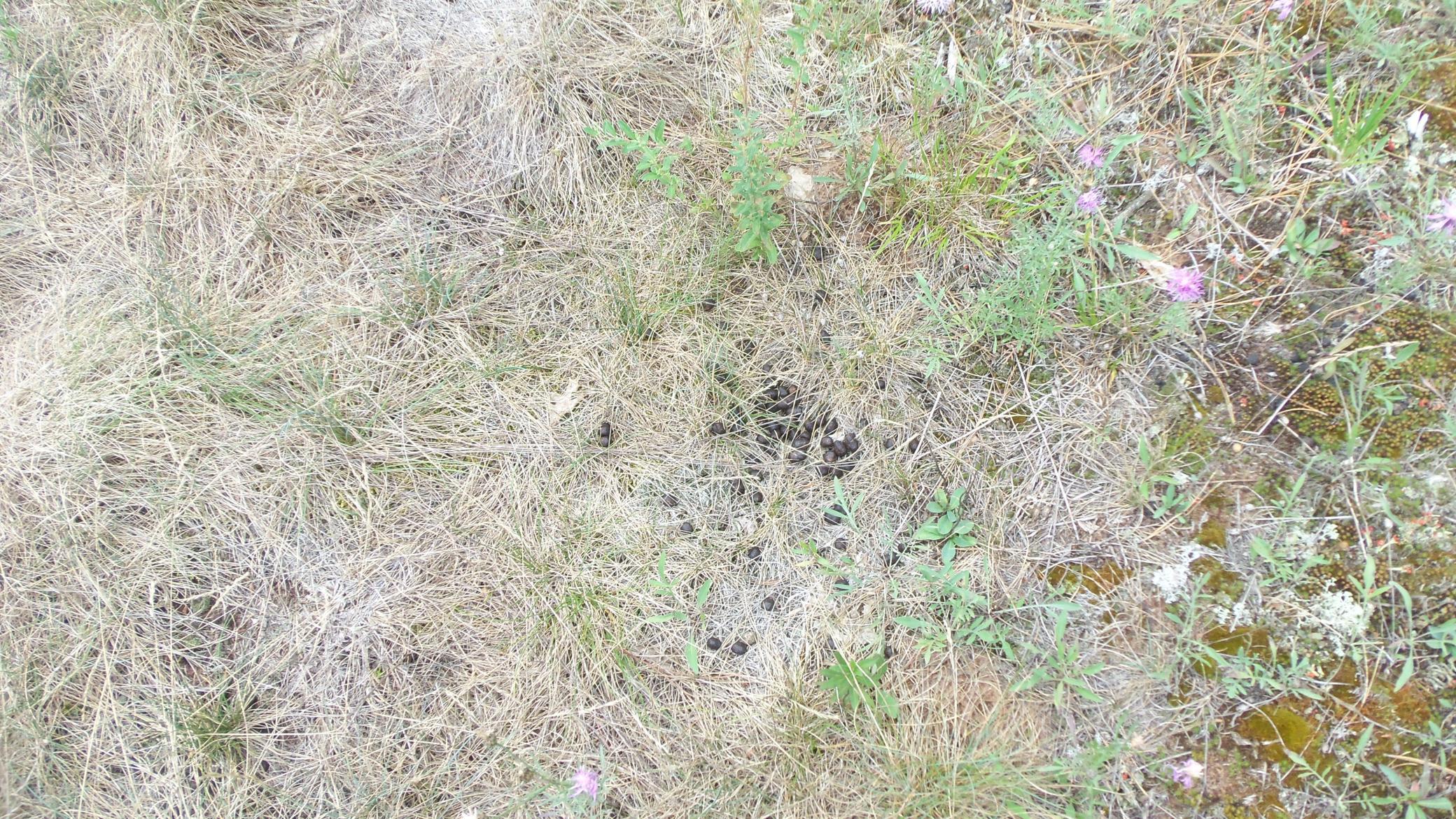 100_4925.JPG