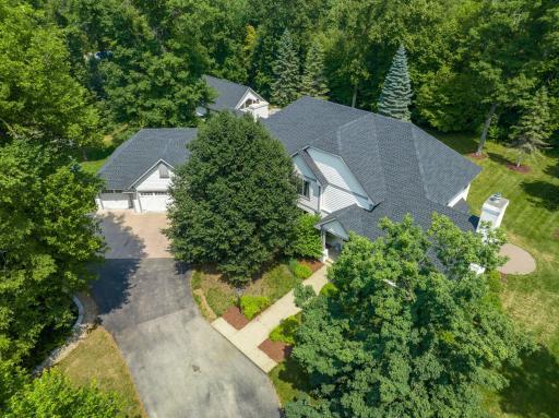 Gorgeous mature trees in Weatherhill neighborhood