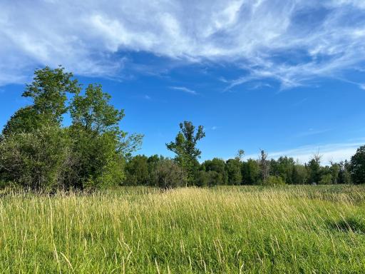 Lot view facing East