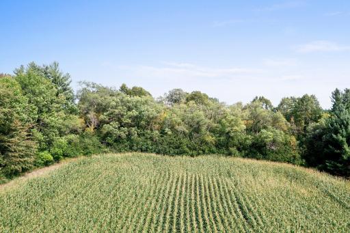 Driveway easement on the west/left side