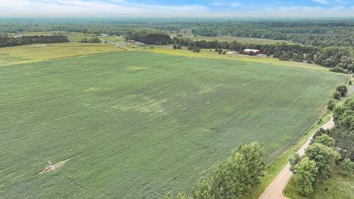 Nice large acreage that has one building site . You pick the area for your home and other buildings you want!