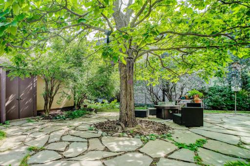 Private backyard oasis shaded by a Catalpa Tree