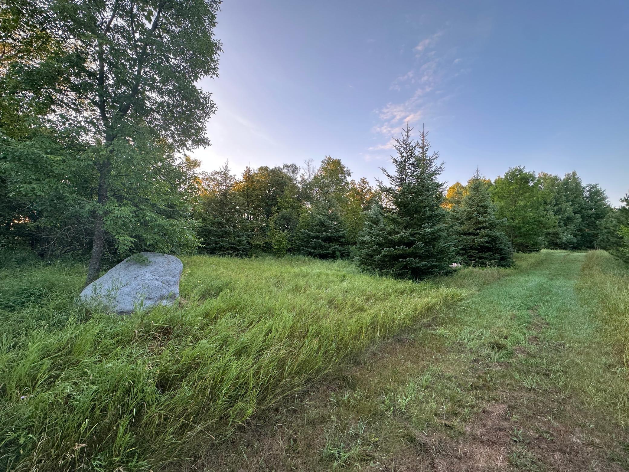 tempImageAWjmiQ.jpg
