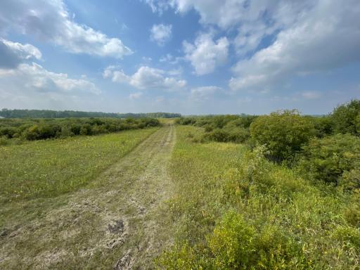 Photo for XXX 410th St NE, Middle River, MN 56737 - Listing #6424527 XXX 410th St NE, Middle River, MN 56737