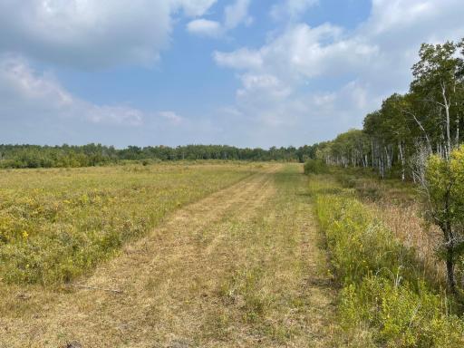 Photo for XXX 410th St NE, Middle River, MN 56737 - Listing #6424527 XXX 410th St NE, Middle River, MN 56737