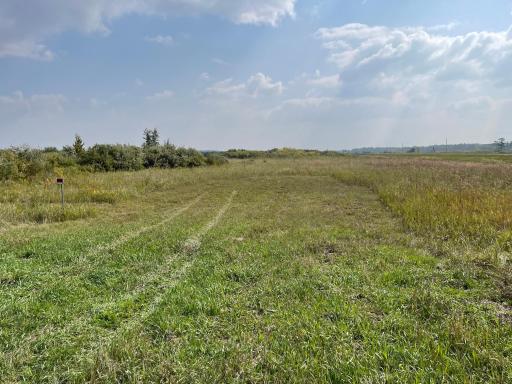 Photo for XXX 410th St NE, Middle River, MN 56737 - Listing #6424527 XXX 410th St NE, Middle River, MN 56737