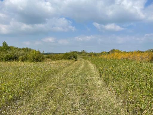 Photo for XXX 410th St NE, Middle River, MN 56737 - Listing #6424527 XXX 410th St NE, Middle River, MN 56737
