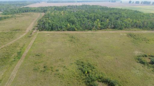 XXX 410th St NE, Middle River, MN 56737
