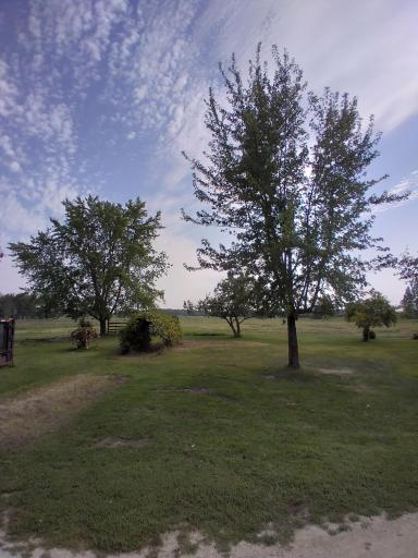 14400 625th Avenue, Eagle Bend, MN 56446