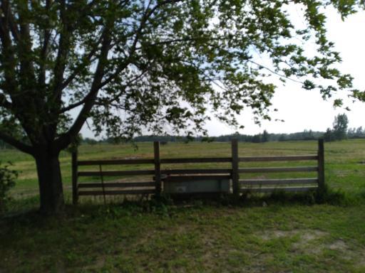 14400 625th Avenue, Eagle Bend, MN 56446
